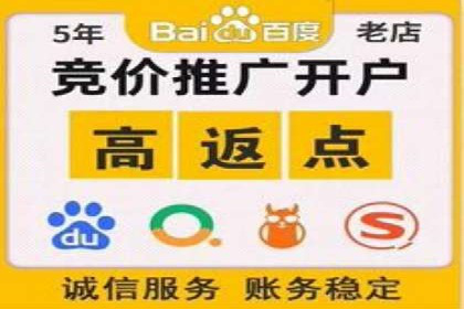SEM搜索引擎优化成功案例，揭示优化策略与技巧